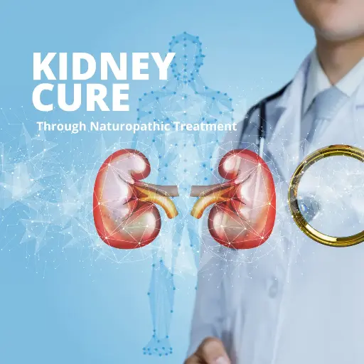 Kidney Cure Through Naturopathic Treatment.